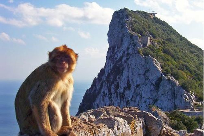 Historic Gibraltar Rock and St Michael's Cave Tour from Seville - Riding up the Rock to St Michael’s Cave