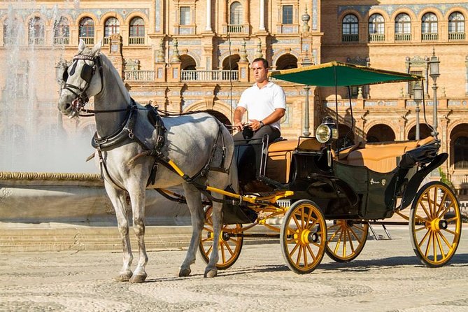 Horse and Buggy Ride in Seville with guide - What this Seville carriage ride really offers