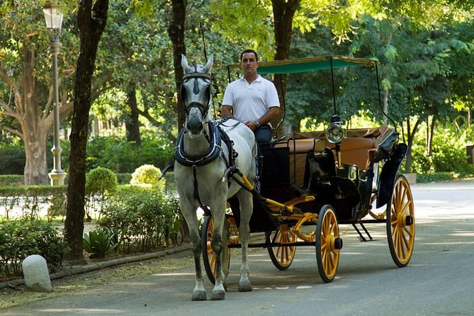Horse and Buggy Ride in Seville with guide - Morning, afternoon, or sunset?