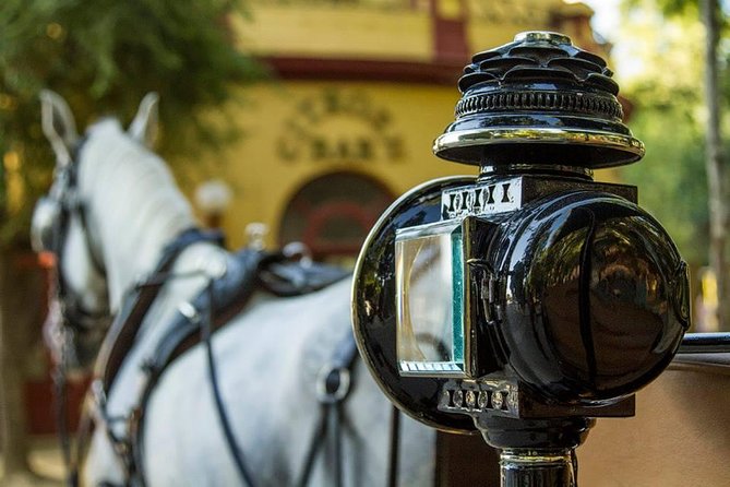 Horse and Buggy Ride in Seville with guide - Starting at Calle Adriano at 10:00 a.m.