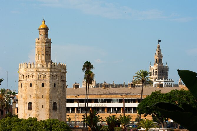 Horse and Carriage Sightseeing Tour in Seville - What the driver guide adds
