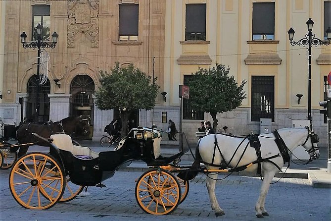 Horse-Drawn Carriage Ride through Seville - The Cathedral and Giralda from street level
