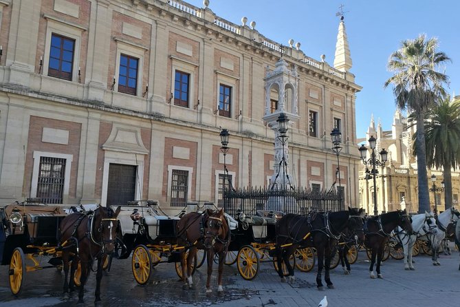 Horse-Drawn Carriage Ride through Seville - River views and civic buildings add variety