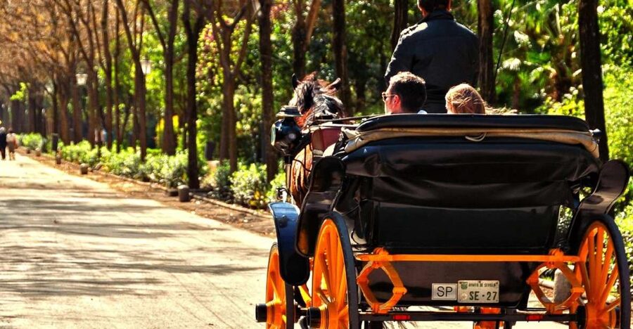 Horse-Drawn Carriage Ride Through Seville - María Luisa Park at a slower pace