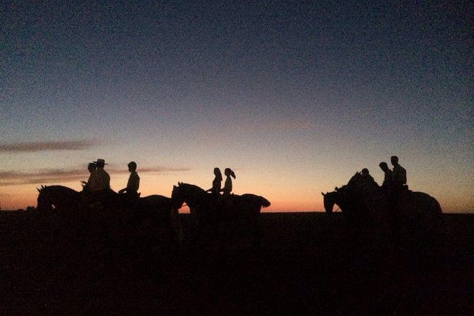 Horseback riding around Doñana National Park - Key points to know before you ride