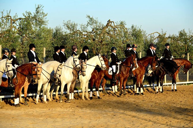 Horseback riding around Doñana National Park - Riding through olive groves and pine woods
