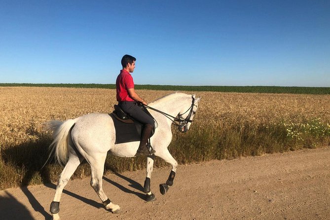 Horseback riding around Doñana National Park - What $102.80 buys you