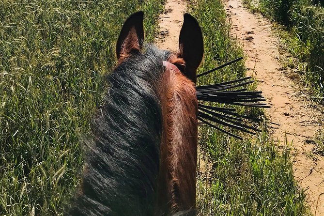 Horseback riding around Doñana National Park - Who will enjoy this ride most