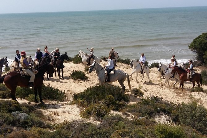 Horseback riding tour of Doñana and visit of El Rocio - Why Doñana works so well on horseback