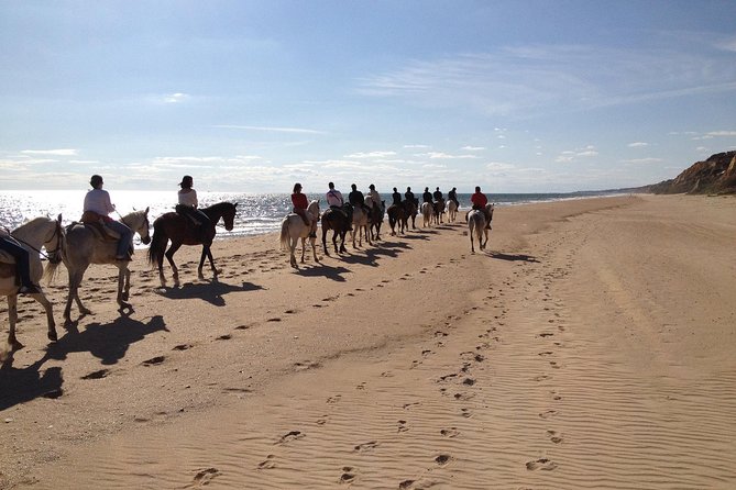 Horseback riding tour of Doñana and visit of El Rocio - What the guide adds to the day
