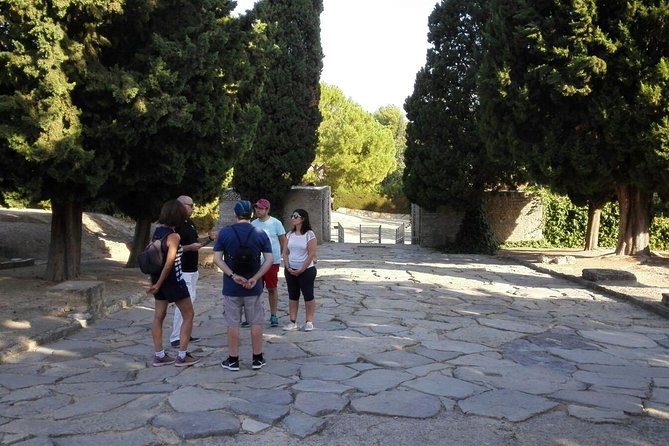 Italica 2-Hour Private Guided Tour - The transport question deserves attention