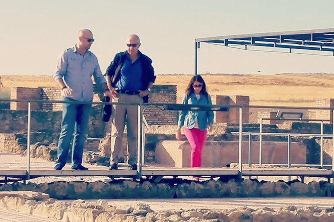 Italica 2-Hour Private Guided Tour - Is the $106.82 price good value?
