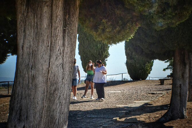 Italica 2-Hour Private Guided Tour - Who will enjoy this two-hour visit?