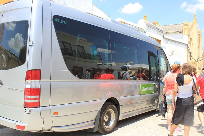 Italica Roman City Tour from Seville - How much the guide matters