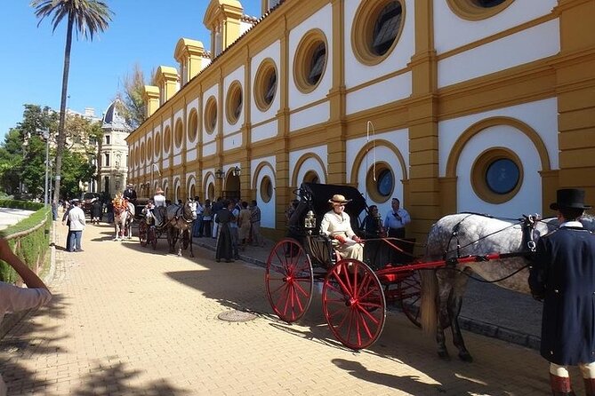 Jerez and Cadiz Day Trip from Seville - My booking advice