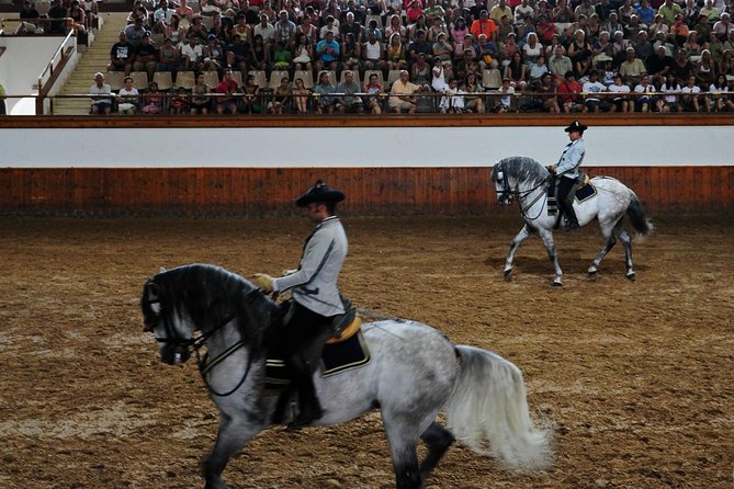 Jerez and Cadiz with Horse Ballet and Sherry Tasting from Seville - The Jerez portion: sherry with a sense of place
