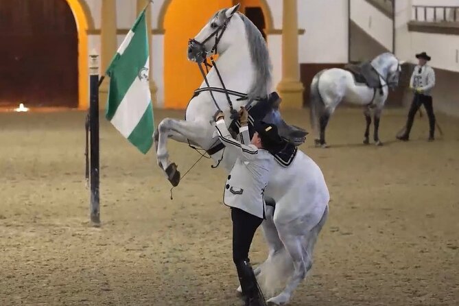 Jerez & Cadiz Winery with Tasting & Opt Horse Show from Seville - Key points at a glance