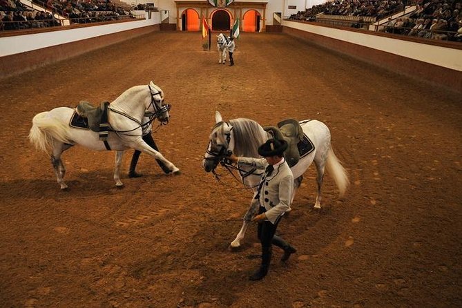 Jerez & Cadiz Winery with Tasting & Opt Horse Show from Seville - How much does the tour deliver for $117.74?