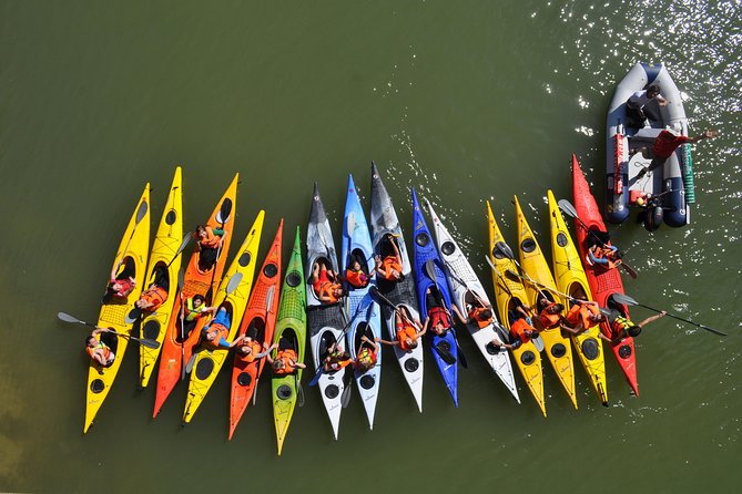 Kayak Tour or Seville Rental - What the $20.52 price really covers