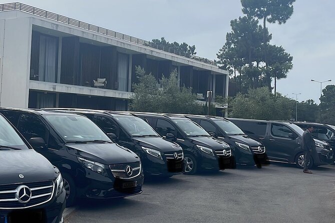 Lisbon & Seville Private Luxury Trip - Who should book this private transfer
