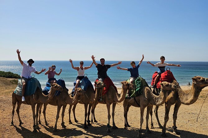 Morocco Express: Private Tour Tangier from Seville AllInclusive - Key points to know before booking