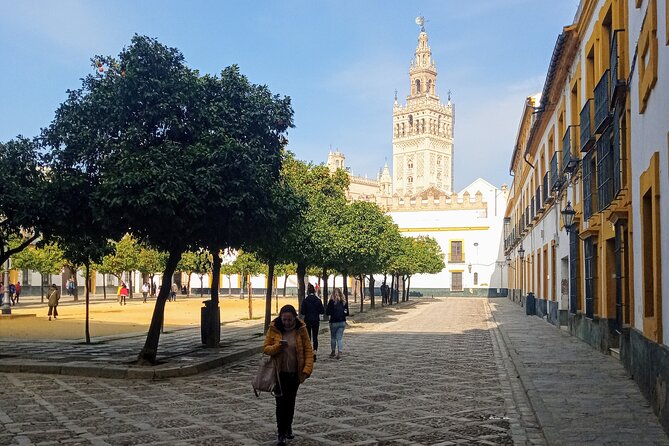 Must See Running Tour Of Sevilla - From Plaza del Salvador to Las Setas