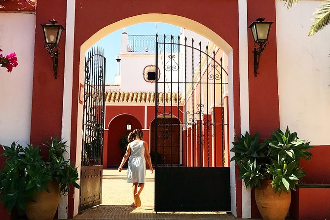 Oleotourism and olive oil tasting in Seville - Private tour - Hacienda Guzmán, where Seville’s olive-oil story becomes real