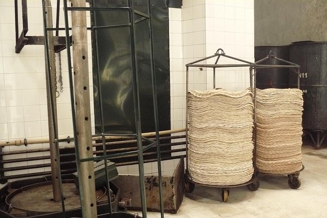 Olive Oil Farm Tour with Tasting from Seville - Why an olive farm is a smart break from Seville