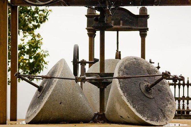 Olive Oil Farm Tour with Tasting from Seville - Inside the mill, museum, and quality control area