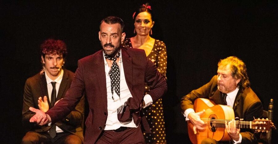 Panoramic Guadalquivir Cruise + Flamenco Show & Walking tour - Flamenco at Theatre Pathé on Cuna Street