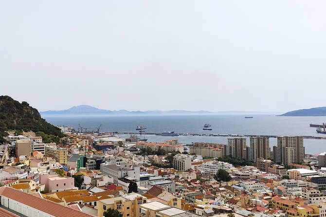 Premium private trip to Gibraltar from Seville (multiple options) - The Upper Rock Nature Reserve sets the pace