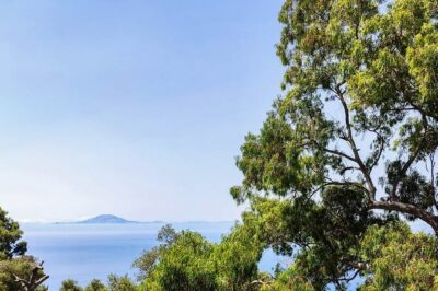Premium private trip to Gibraltar from Seville (multiple options)