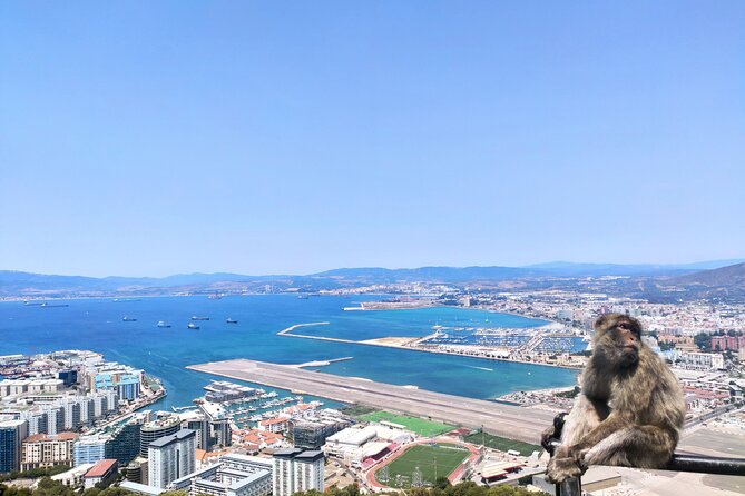 Premium private trip to Gibraltar from Seville (multiple options) - St. Michael’s Cave and The Awakening