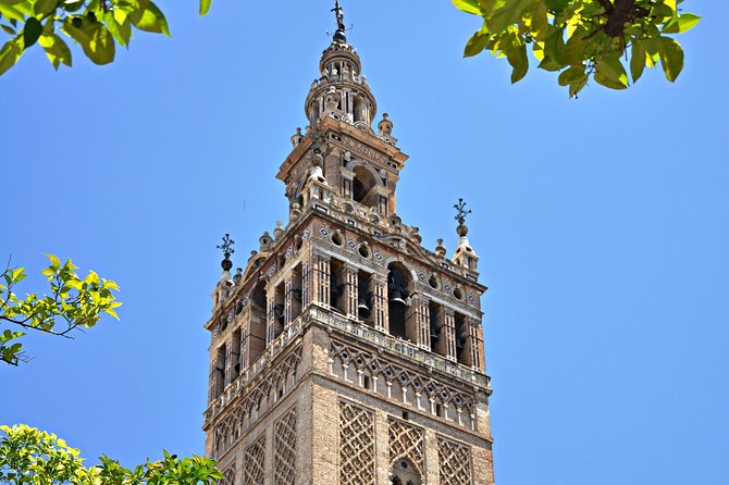 Private Alcazar, Giralda and Cathedral of Seville Tour - What a private guide changes