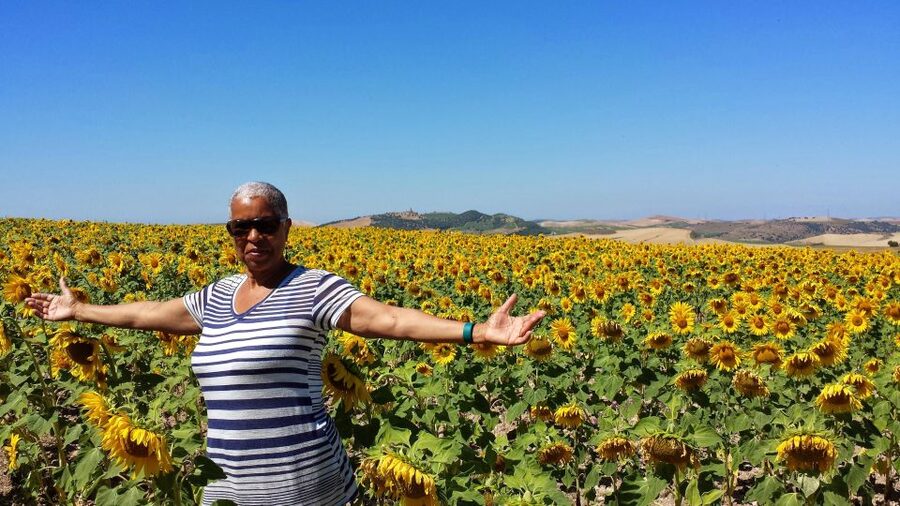 Private Day Trip to Ronda and Malaga from Seville - Why this Seville to Malaga route works