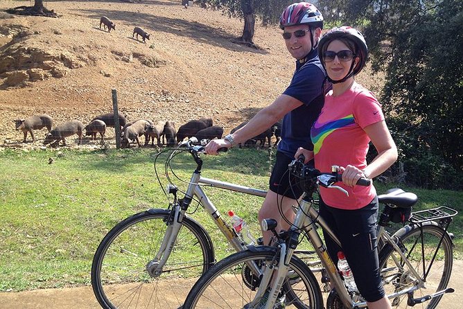 Private Ebike full day excursion to Sierra Norte Natural Park - Key points to know before you book