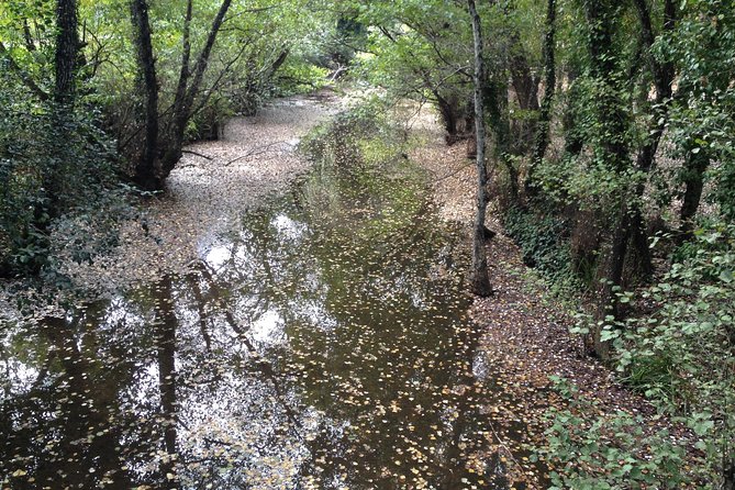 Private Ebike full day excursion to Sierra Norte Natural Park - Who will get the most from this ride