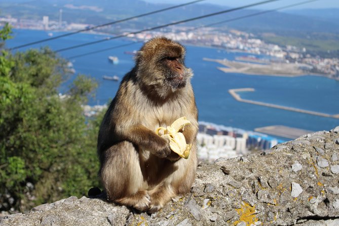 Private Gibraltar Day Tour from Seville - Main Street in 30 minutes