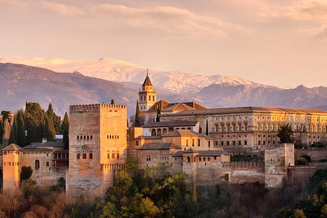 Private Granada Alhambra Tour from Seville - Entering the Nasrid Palaces