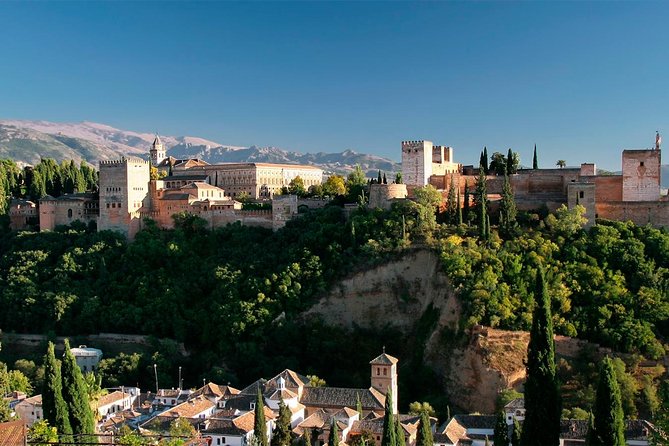 Private Granada Day Trip including Alhambra and Generalife from Seville - Private service, guides, and the one important warning