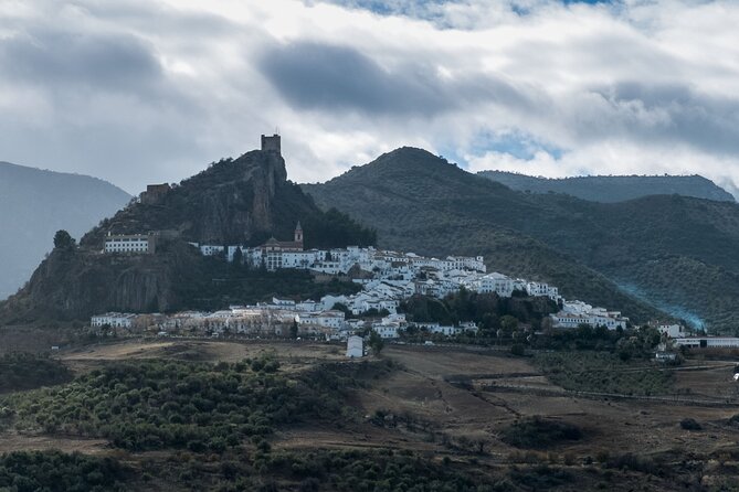 Private Guided Day Trip to the White Villages and Ronda - Zahara de la Sierra and Andalusian olive oil