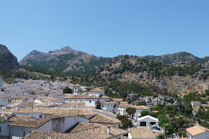 Private Guided Day Trip to the White Villages and Ronda - Grazalema, local lunch, and time to slow down