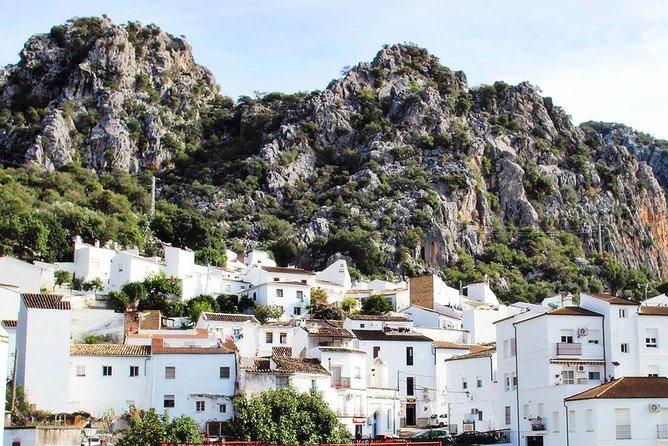 Private Guided Day Trip to the White Villages and Ronda from Seville - Arcos de la Frontera and optional additions
