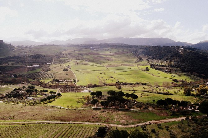 Private Guided Day Trip to the White Villages and Ronda from Seville - Price, comfort, and value