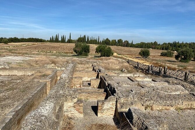 Private hald day tour to the historic roman city of Italica - Should you book this private Italica visit?
