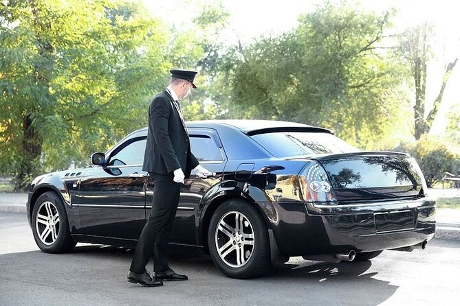 Private One-way Airport Transfer From Seville Airport To Seville - Meet and greet after the flight