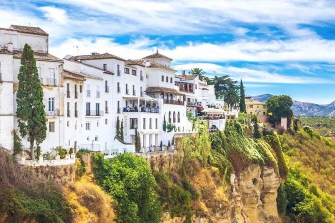 Private Seville Transfer to Malaga Including Visit to Ronda - Leaving Seville through the Andalusian countryside