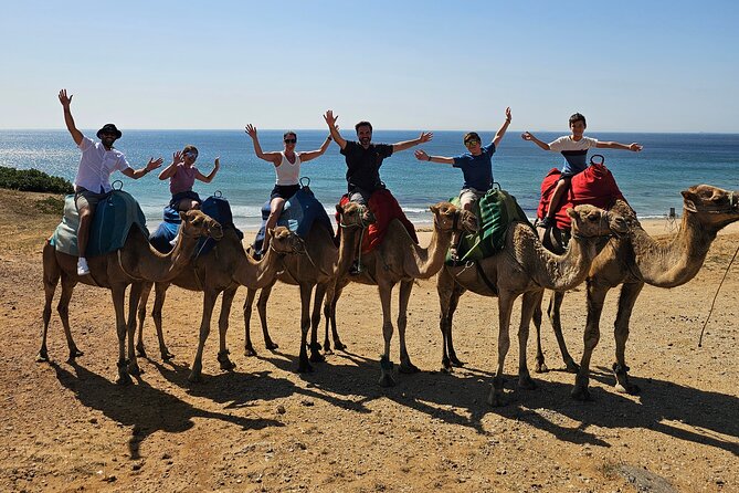 Private Tour: Day through Gibraltar and Morocco, Tangier from Seville - Key points to know before booking