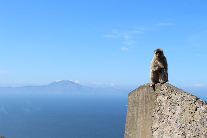 Private Tour: Day through Gibraltar and Morocco, Tangier from Seville - Tarifa and the ferry to Tangier