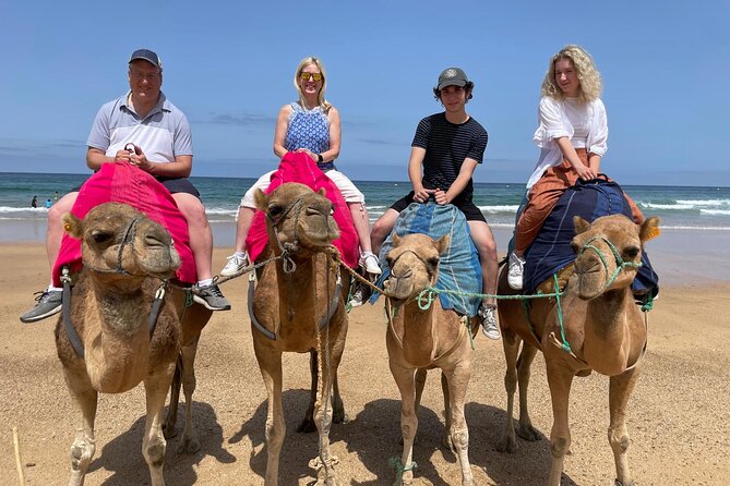 Private Tour: Day through Gibraltar and Morocco, Tangier from Seville - Moroccan lunch, tea, and a short camel ride